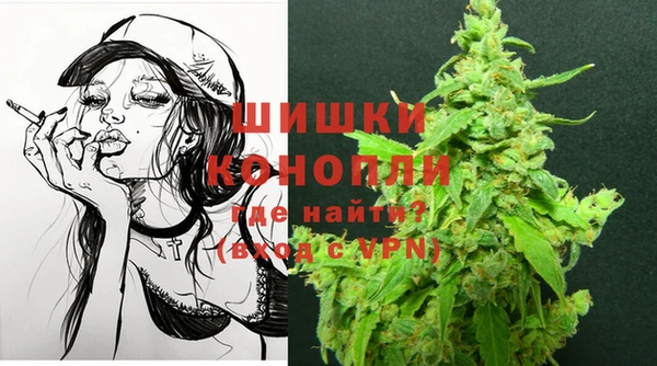 спиды Богданович