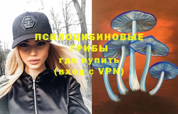 спиды Богданович