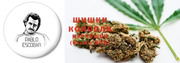 спиды Богданович