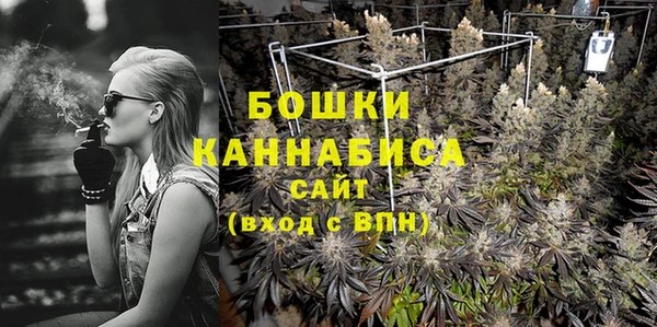 спиды Богданович