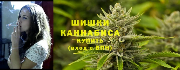 спиды Богданович